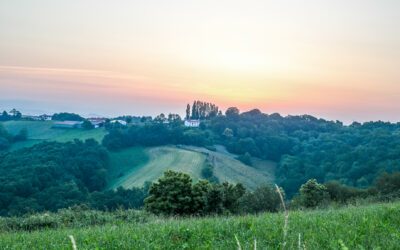 Bastidarra : la crème des yaourts basques !